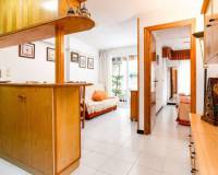 Kısa süreli kiralama - Apartman dairesi - Torrevieja - España