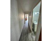 Kort tid utleie - Apartment/Flat - Torrevieja
