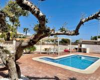 Kort tid utleie - Villa - Torrevieja - Los balcones