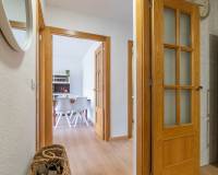 Kurzzeitvermietung - Apartment/Flat - Torrevieja - Rocio del Mar