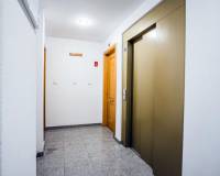 Kurzzeitvermietung - Apartment/Flat - Torrevieja
