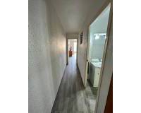 Kurzzeitvermietung - Apartment/Flat - Torrevieja