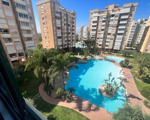Квартира / Квартира - Long time Rental - Alicante - rent-858o