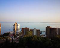 Lang tid utleie - Apartment/Flat - Alicante - Albufereta