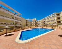 Lang tid utleie - Apartment/Flat - Alicante - Campoamor