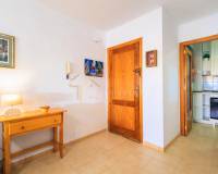 Lang tid utleie - Apartment/Flat - Torrevieja - Acequion