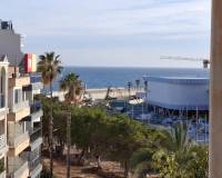 Lang tid utleie - Apartment/Flat - Torrevieja Centro - Centro - Muelle Pesquero