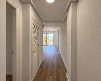 Lang tid utleie - Apartment/Flat - Torrevieja Centro - Torrevieja