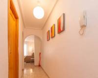 Lang tid utleie - Apartment/Flat - Torrevieja - Centro