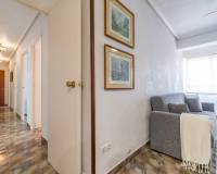 Lang tid utleie - Apartment/Flat - Torrevieja - Paseo maritimo