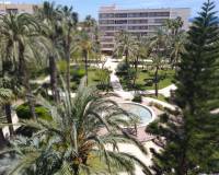 Lang tid utleie - Apartment/Flat - Torrevieja - Playa de los Locos