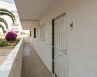 Lang tid utleie - Apartment/Flat - Torrevieja - Torreblanca La Mata