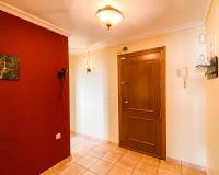 Lang tid utleie - Penthouse - Torrevieja - Playa del Cura