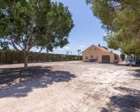 Lang tid utleie - Villa - Crevillente - Alicante