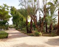 Lang tid utleie - Villa - Elche Pedanías - Maitino