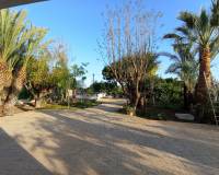 Lang tid utleie - Villa - Elche Pedanías - Maitino