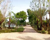 Lang tid utleie - Villa - Elche Pedanías - Maitino