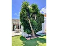 Lang tid utleie - Villa - Orihuela - Orihuela Costa