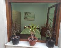 Lang tid utleie - Villa - San Miguel de Salinas