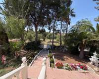 Lang tid utleie - Villa - Torrevieja - España
