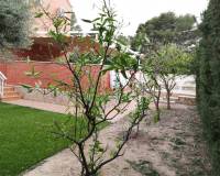 Lang tid utleie - Villa - Torrevieja - Los balcones