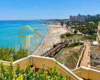 Lange tijd verhuur - Apartment/Flat - Alicante - Campoamor