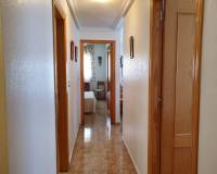 Lange tijd verhuur - Apartment/Flat - Torrevieja - España