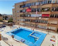 Lange tijd verhuur - Apartment/Flat - Torrevieja - España