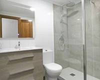 Langzeitvermietung - Apartment/Flat - Dehesa de Campoamor - Gran Playa