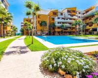 Langzeitvermietung - Apartment/Flat - Punta Prima