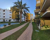 Langzeitvermietung - Apartment/Flat - Punta Prima