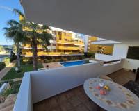 Langzeitvermietung - Apartment/Flat - Punta Prima