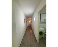 Langzeitvermietung - Apartment/Flat - Torrevieja - España