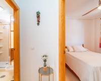 Langzeitvermietung - Apartment/Flat - Torrevieja - La Mata