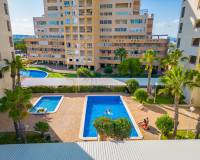 Langzeitvermietung - Apartment/Flat - Torrevieja - La veleta