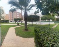 Langzeitvermietung - Apartment/Flat - Torrevieja - Playa de los Locos