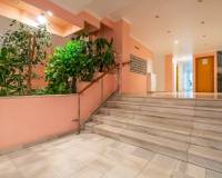 Langzeitvermietung - Apartment/Flat - Torrevieja - Playa del Cura