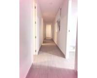 Langzeitvermietung - Apartment/Flat - Torrevieja