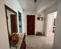 Langzeitvermietung - Apartment/Flat - Torrevieja