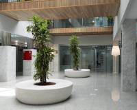 Langzeitvermietung - Geschäftsräume - Orihuela Costa - Playa Flamenca