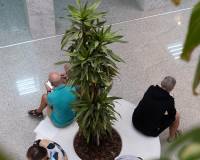 Langzeitvermietung - Geschäftsräume - Orihuela Costa - Playa Flamenca