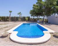 Langzeitvermietung - Villa - Crevillente - Alicante