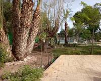 Langzeitvermietung - Villa - Elche Pedanías - Maitino