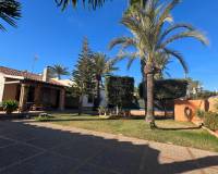 Langzeitvermietung - Villa - Torrevieja - Calas blanca