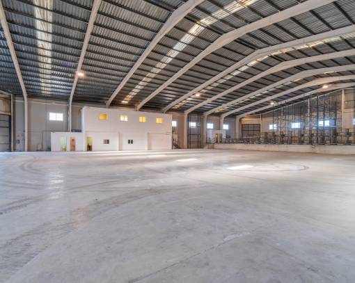 Locaux commerciaux - Long time Rental - Pilar de la Horadada - Polígono industrial Cañada de Práez