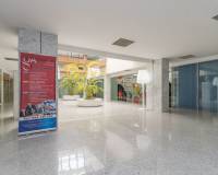 Long time Rental - Affärslokaler - Orihuela Costa - Playa Flamenca