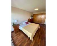 Long time Rental - Apartment/Flat - Alicante - Albufereta