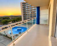 Long time Rental - Apartment / Flat - Guardamar del Segura - Puerto Deportivo