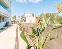 Long time Rental - Apartment / Flat - Orihuela Costa - Playa Flamenca