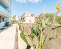 Long time Rental - Apartment / Flat - Orihuela Costa - Playa Flamenca